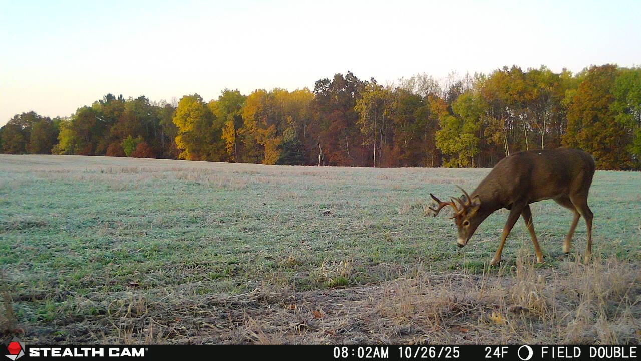 11661 75th Avenue, Mecosta, MI, 49332-9355