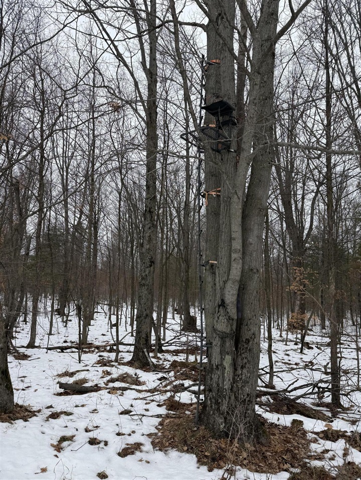 11661 75th Avenue, Mecosta, MI, 49332-9355