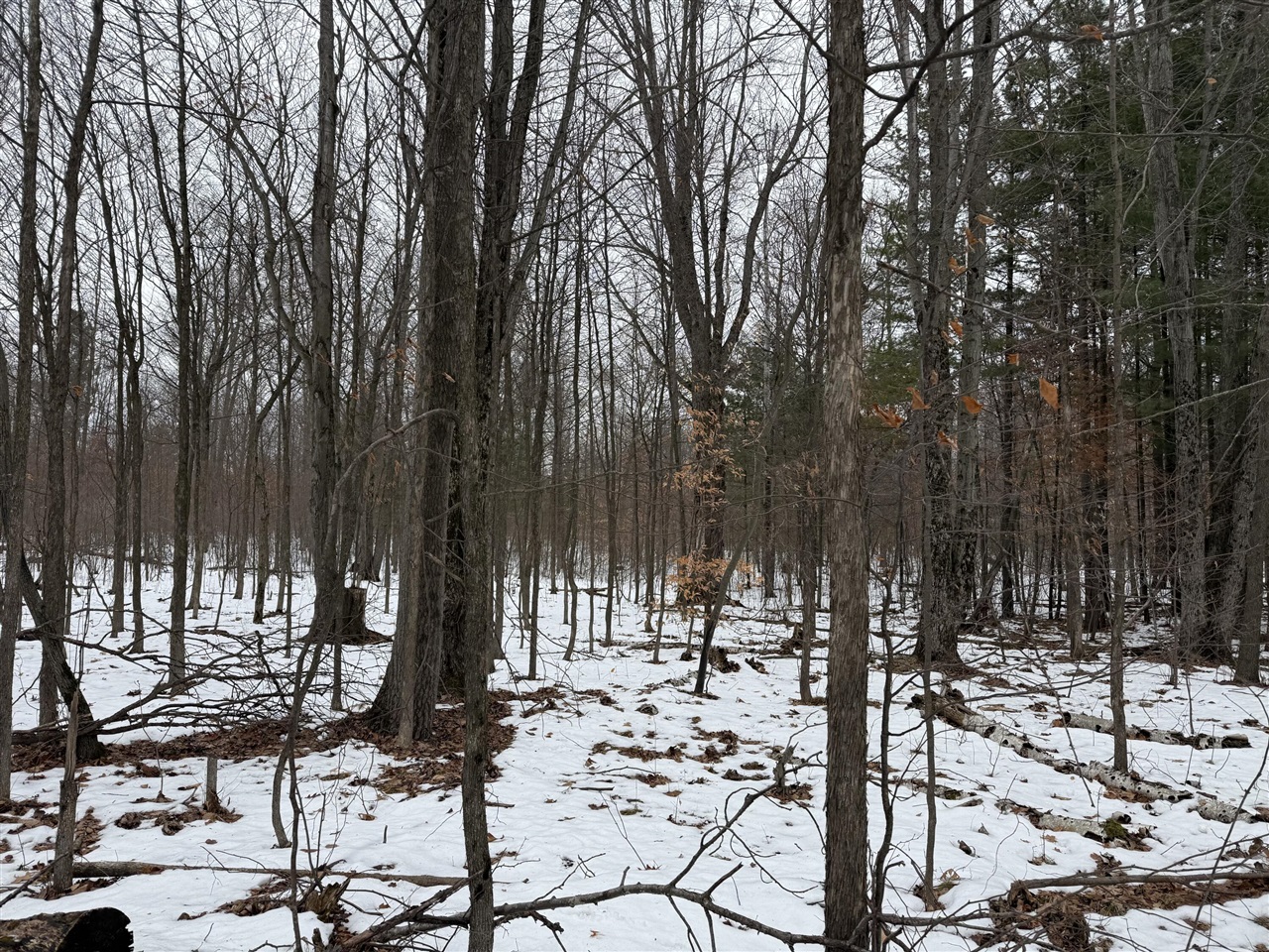 11661 75th Avenue, Mecosta, MI, 49332-9355