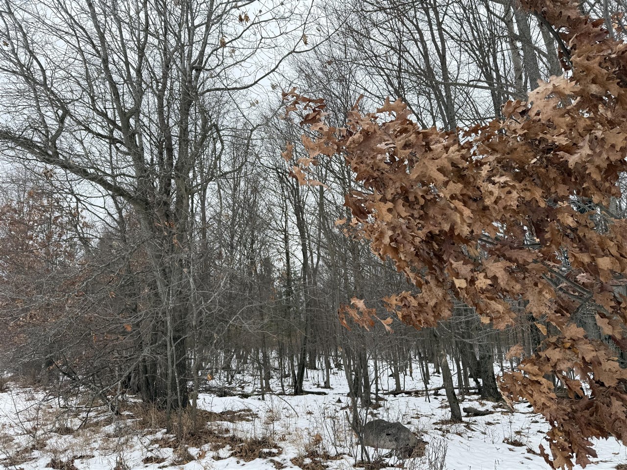 11661 75th Avenue, Mecosta, MI, 49332-9355