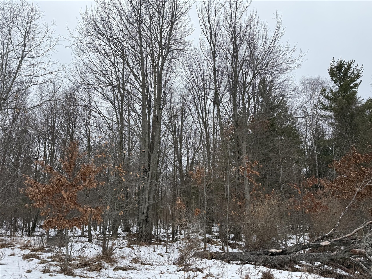 11661 75th Avenue, Mecosta, MI, 49332-9355