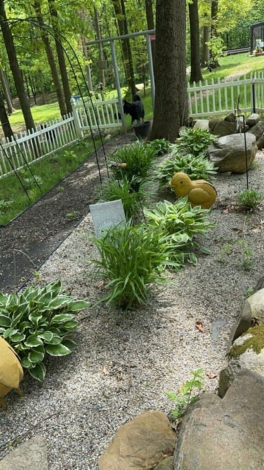 6635 E Chicago Road, Jonesville, MI, 49250-9752