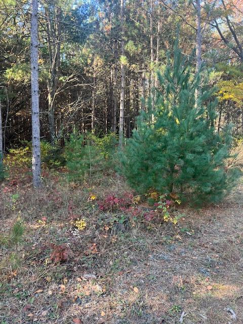 VL C Mckinley Road, Big Rapids, MI, 49307