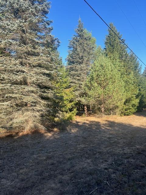 VL C Mckinley Road, Big Rapids, MI, 49307