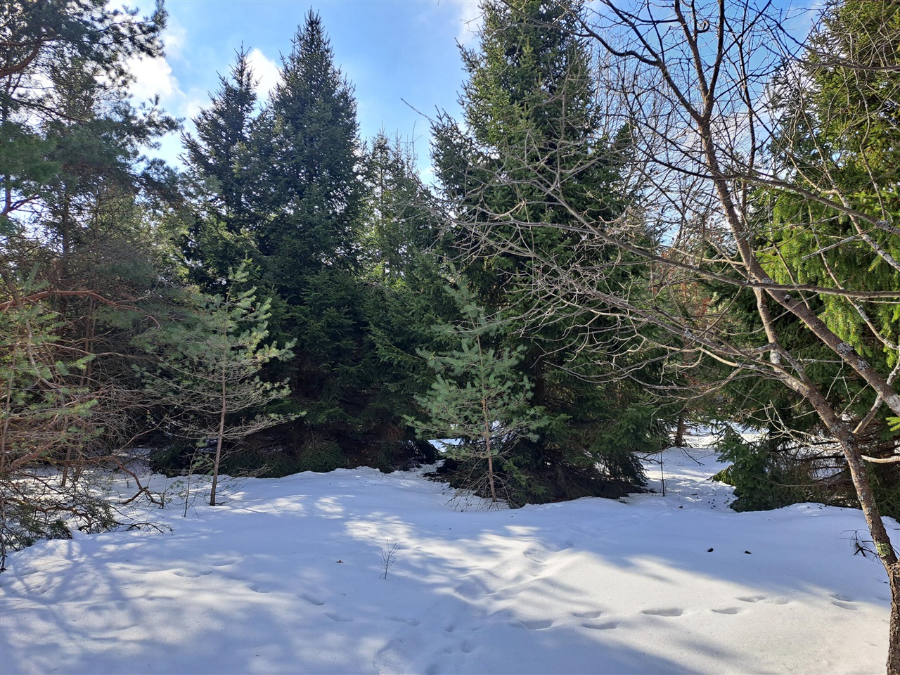 VL C Mckinley Road, Big Rapids, MI, 49307