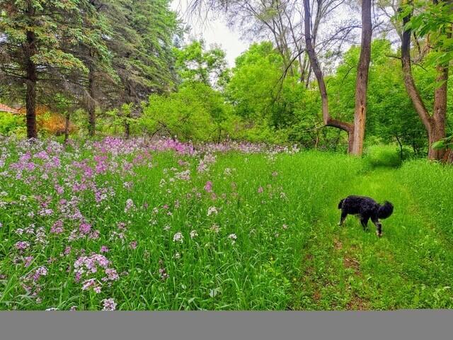 VL C Mckinley Road, Big Rapids, MI, 49307