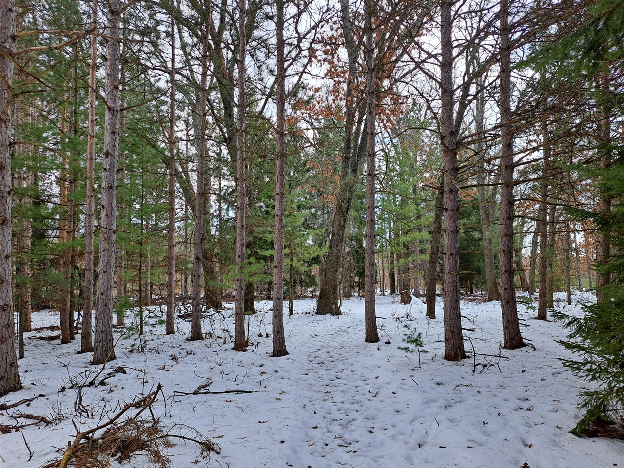 VL C Mckinley Road, Big Rapids, MI, 49307