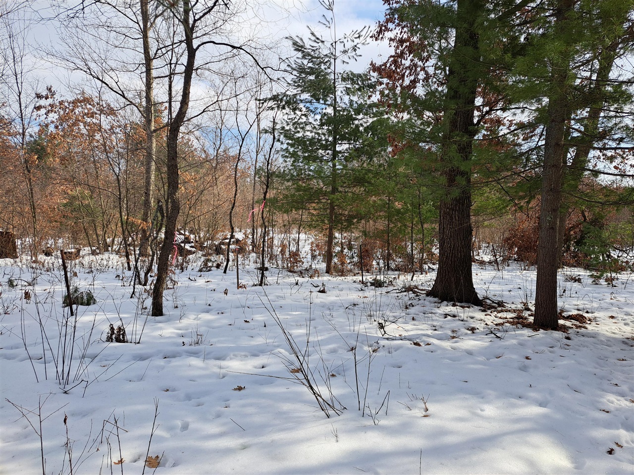 VL C Mckinley Road, Big Rapids, MI, 49307