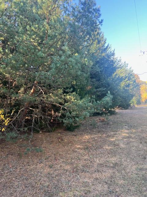 VL C Mckinley Road, Big Rapids, MI, 49307