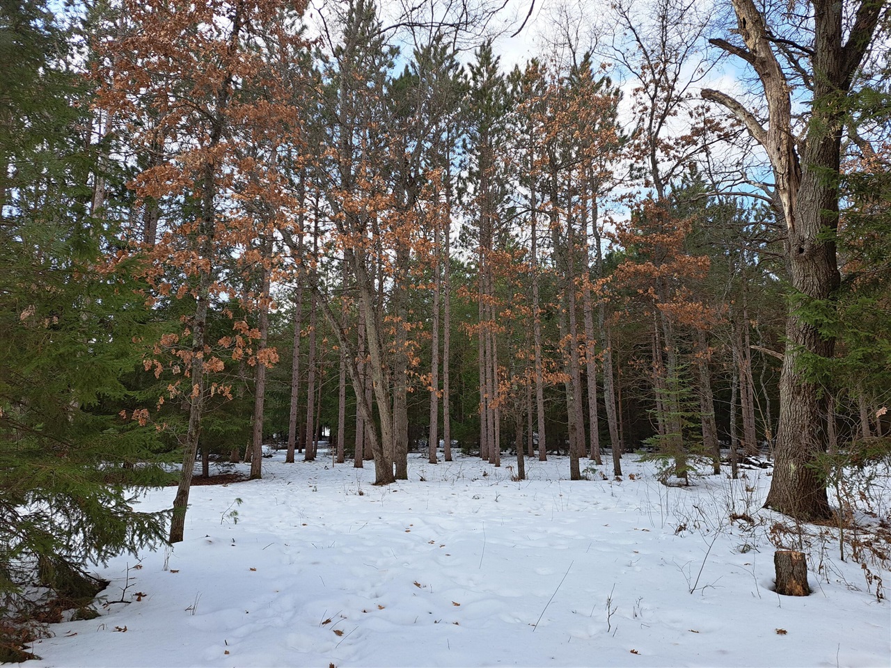 VL C Mckinley Road, Big Rapids, MI, 49307