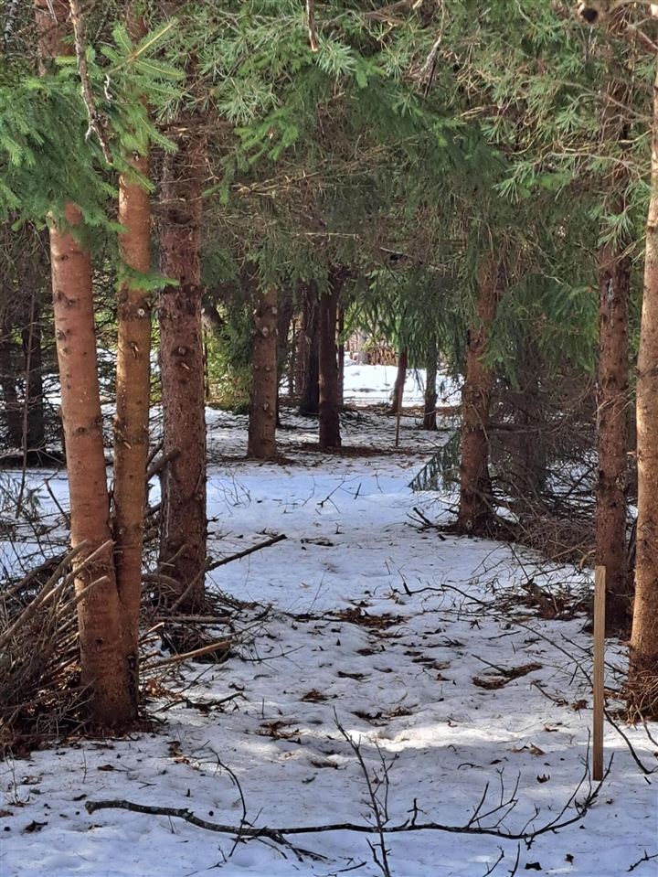 VL C Mckinley Road, Big Rapids, MI, 49307