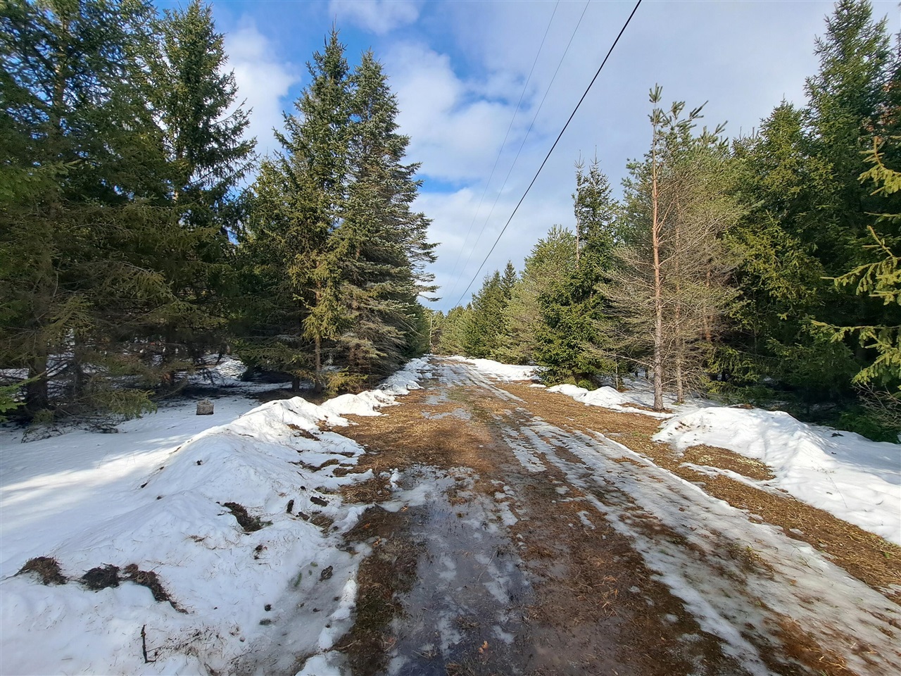 VL C Mckinley Road, Big Rapids, MI, 49307