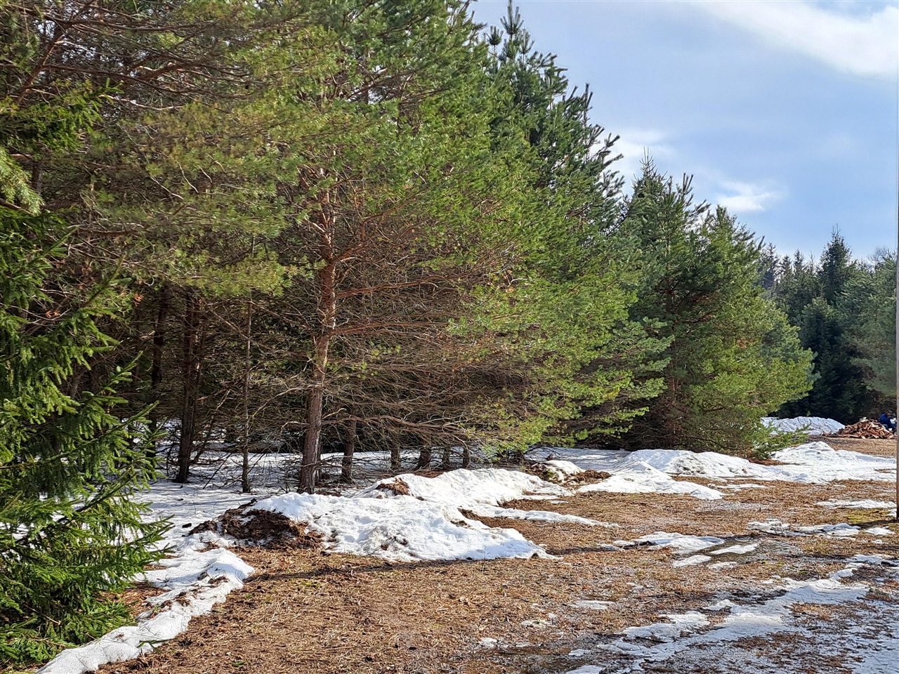 VL C Mckinley Road, Big Rapids, MI, 49307