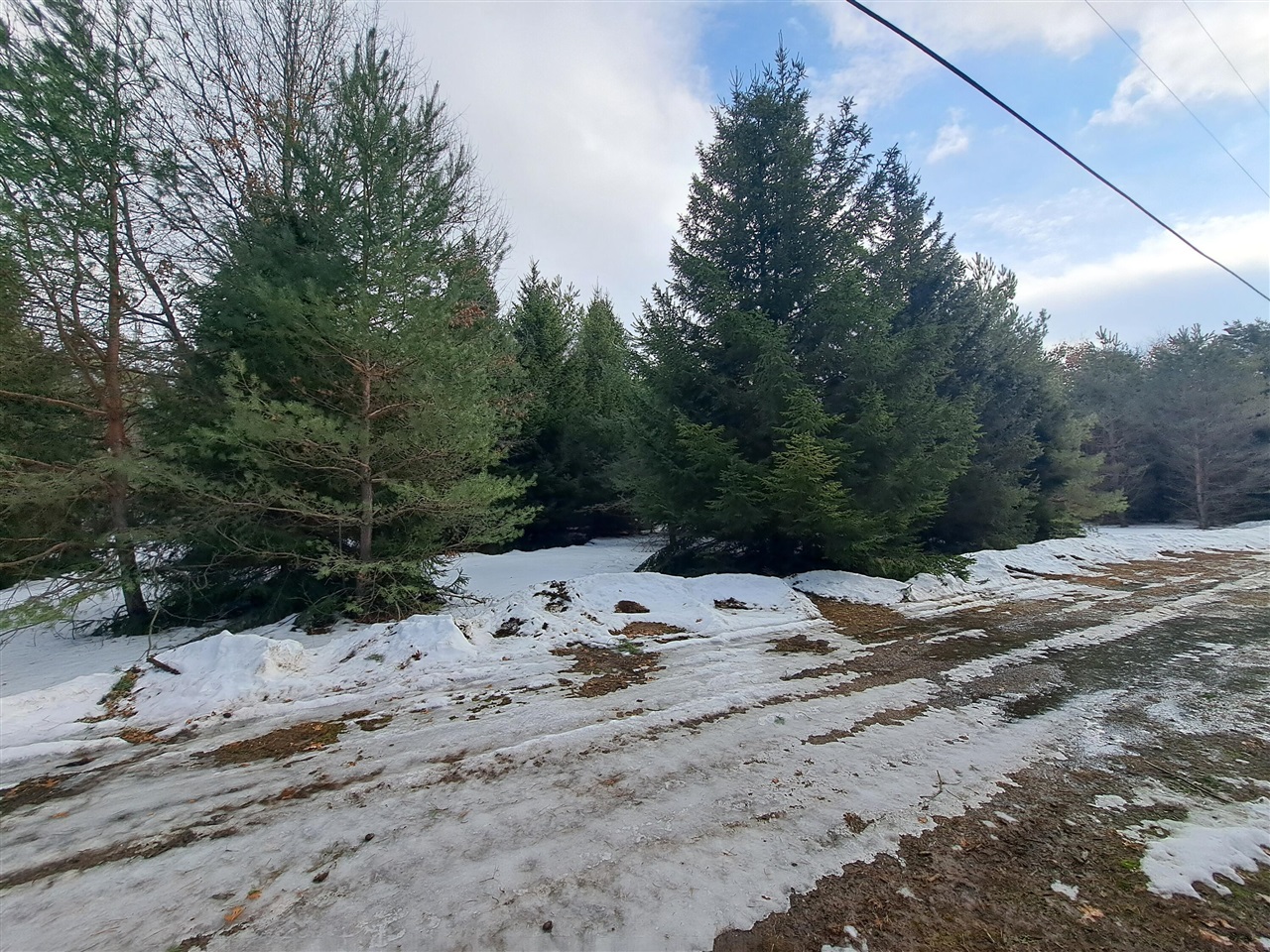 VL C Mckinley Road, Big Rapids, MI, 49307