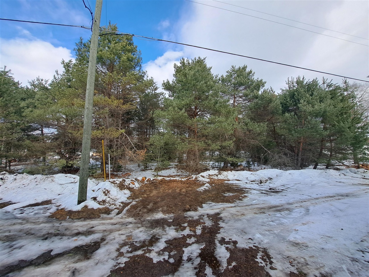 VL C Mckinley Road, Big Rapids, MI, 49307