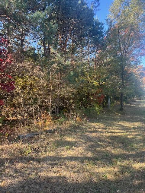 VL C Mckinley Road, Big Rapids, MI, 49307