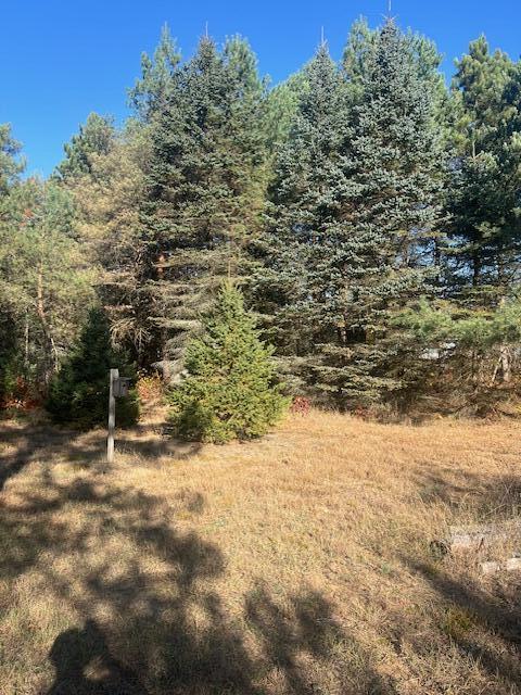 VL C Mckinley Road, Big Rapids, MI, 49307