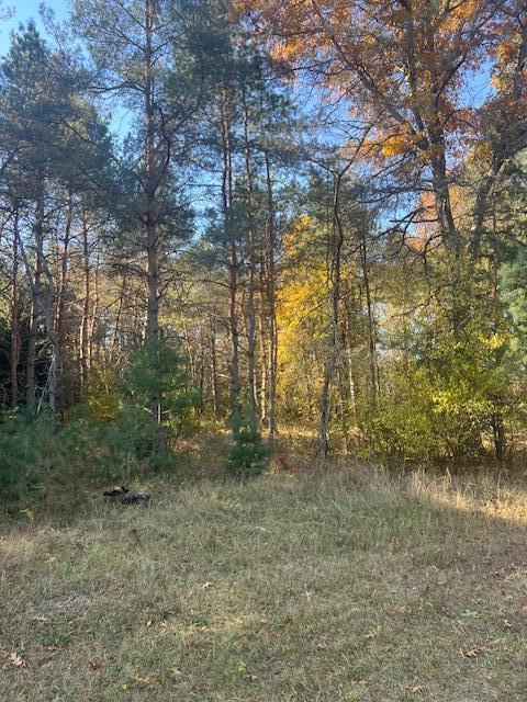 VL C Mckinley Road, Big Rapids, MI, 49307