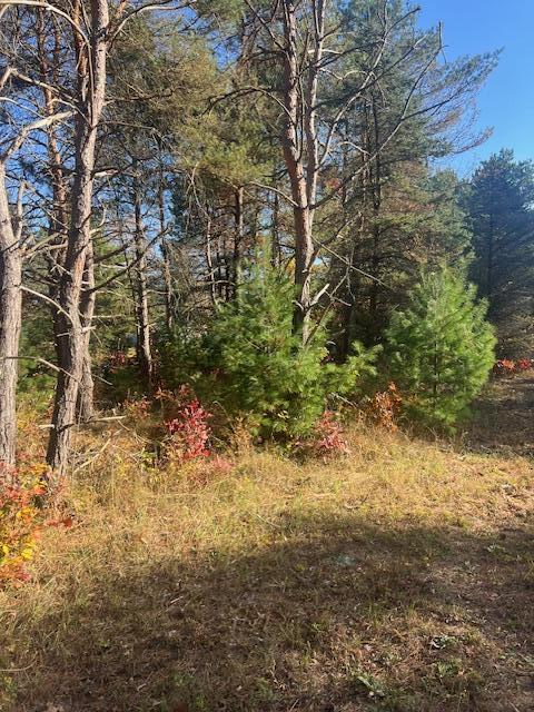 VL C Mckinley Road, Big Rapids, MI, 49307