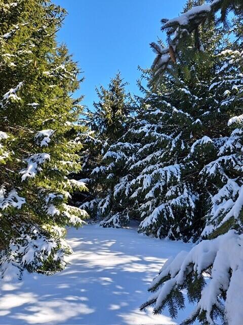 VL C Mckinley Road, Big Rapids, MI, 49307