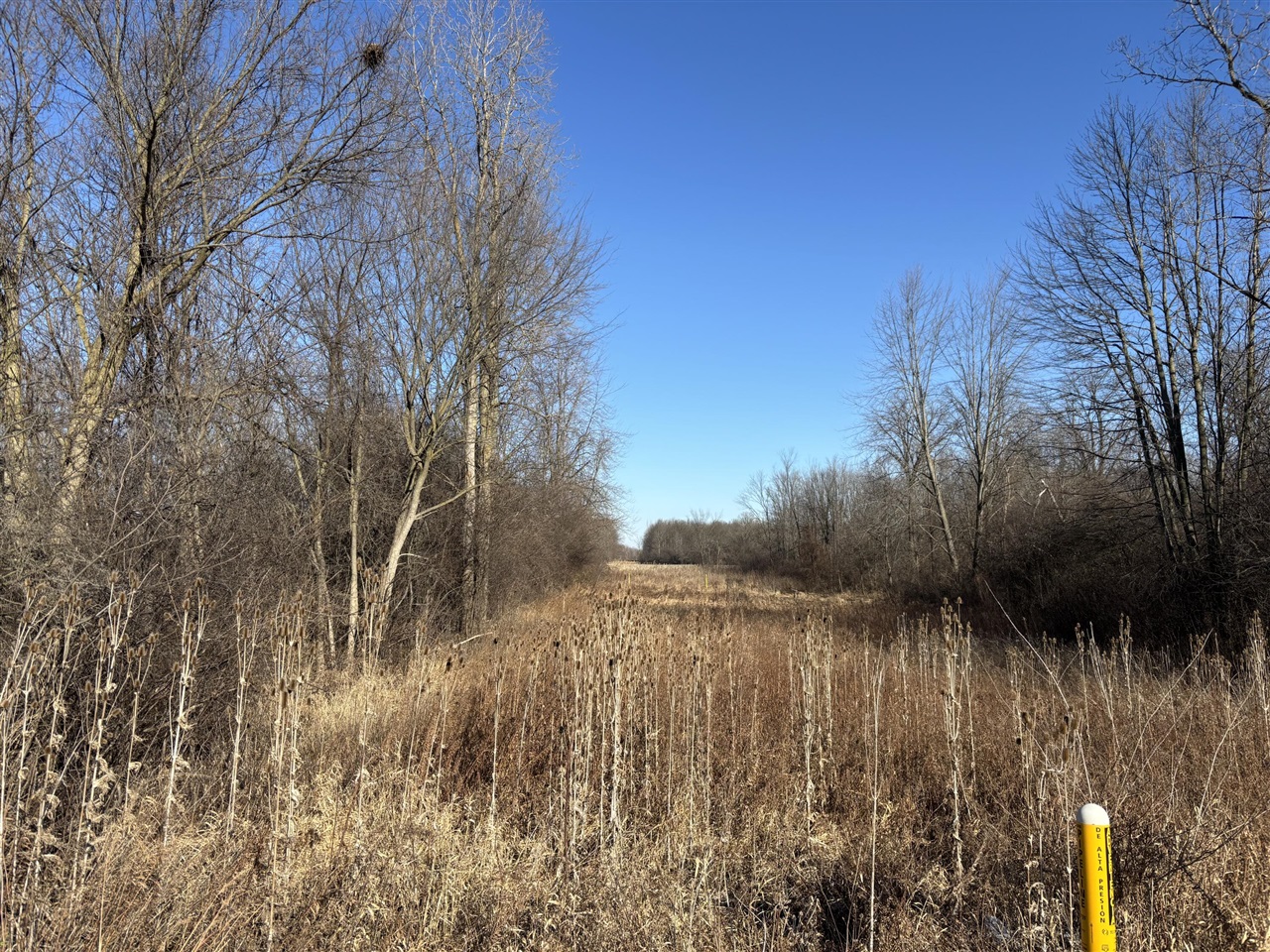 Homes for sale in Ypsilanti, MI | 7015 Merritt Rd, Ypsilanti, MI 48197 | MLS# 70509381