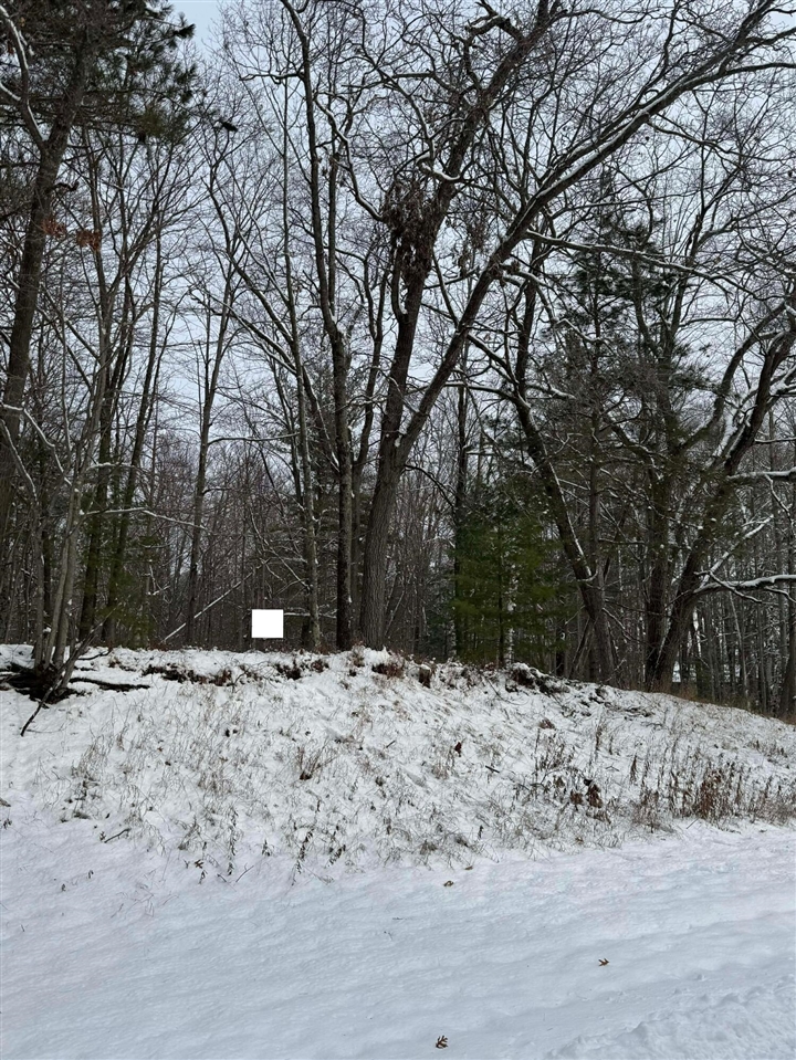 Oakridge Drive, Oscoda, MI, 48750