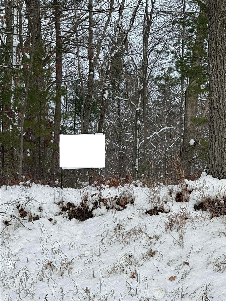 Oakridge Drive, Oscoda, MI, 48750