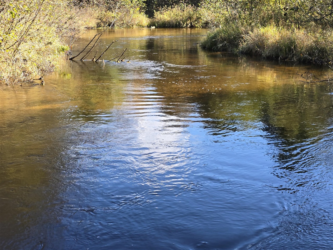 10652 N River Road, Irons, MI, 49644