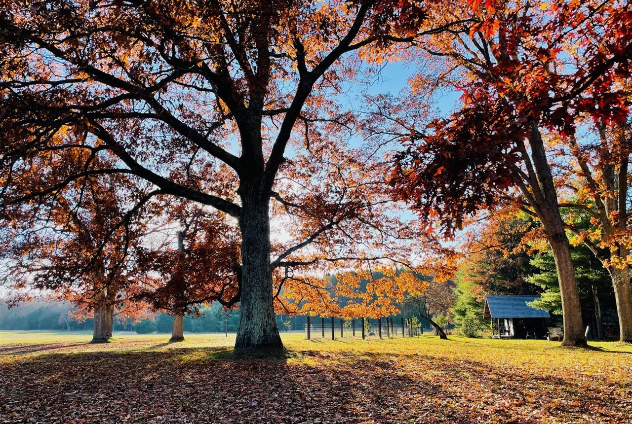 10652 N River Road, Irons, MI, 49644