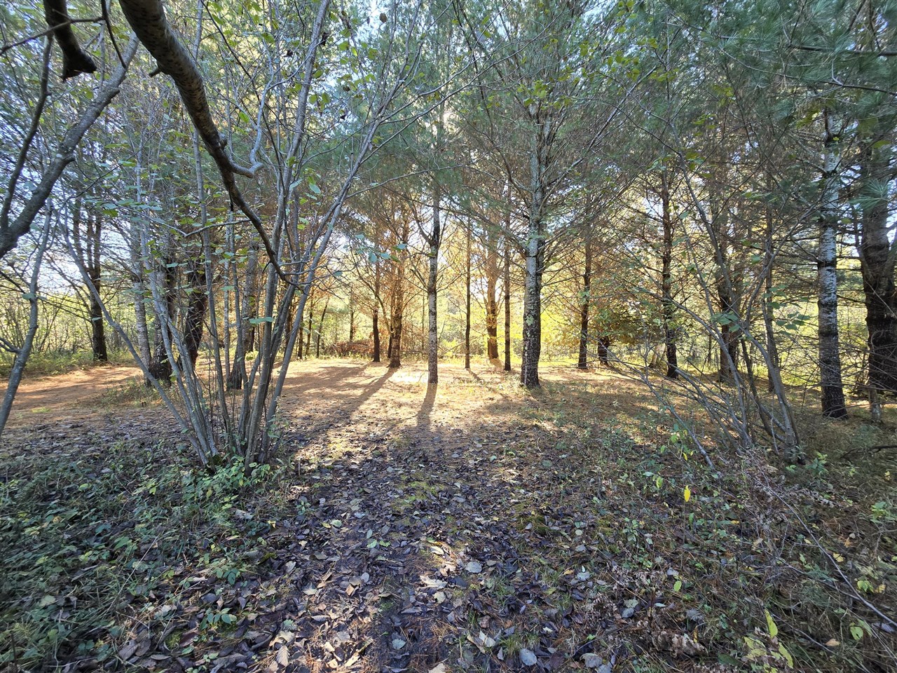 10652 N River Road, Irons, MI, 49644