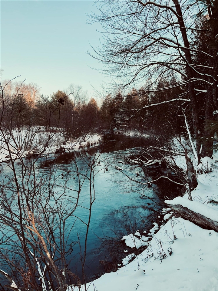 10652 N River Road, Irons, MI, 49644