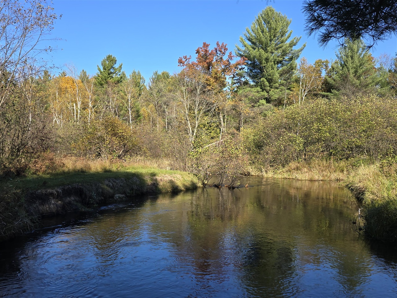 10652 N River Road, Irons, MI, 49644