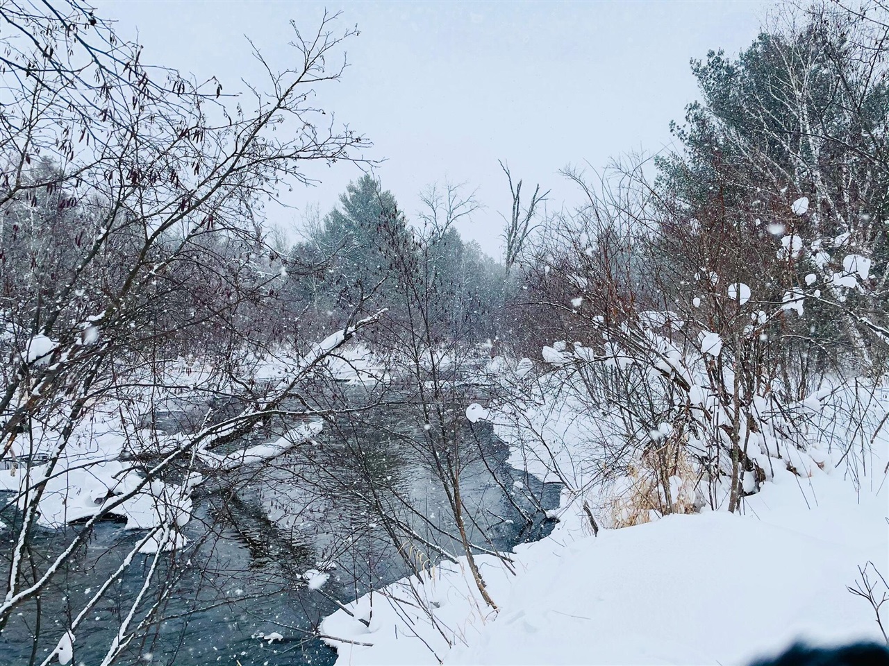 10652 N River Road, Irons, MI, 49644