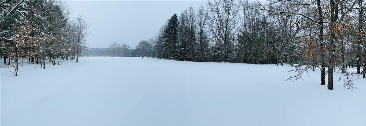 10652 N River Road, Irons, MI, 49644