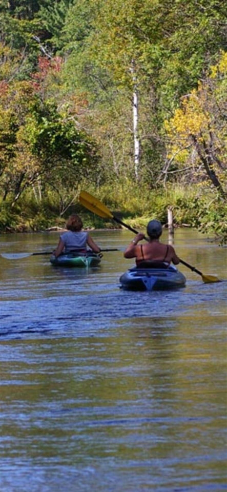 10652 N River Road, Irons, MI, 49644