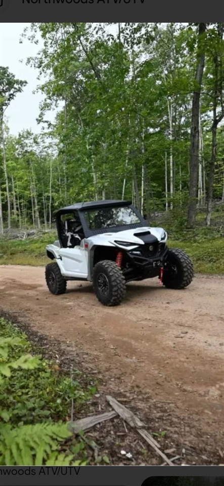 10652 N River Road, Irons, MI, 49644