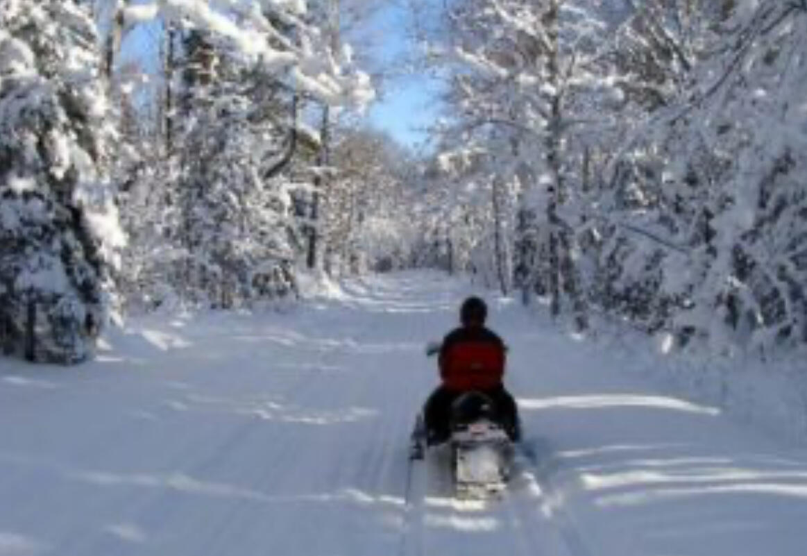 10652 N River Road, Irons, MI, 49644