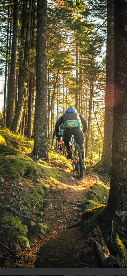 10652 N River Road, Irons, MI, 49644