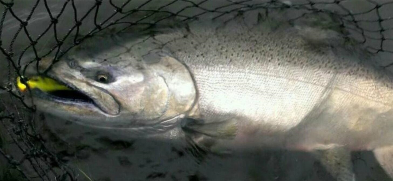 10652 N River Road, Irons, MI, 49644