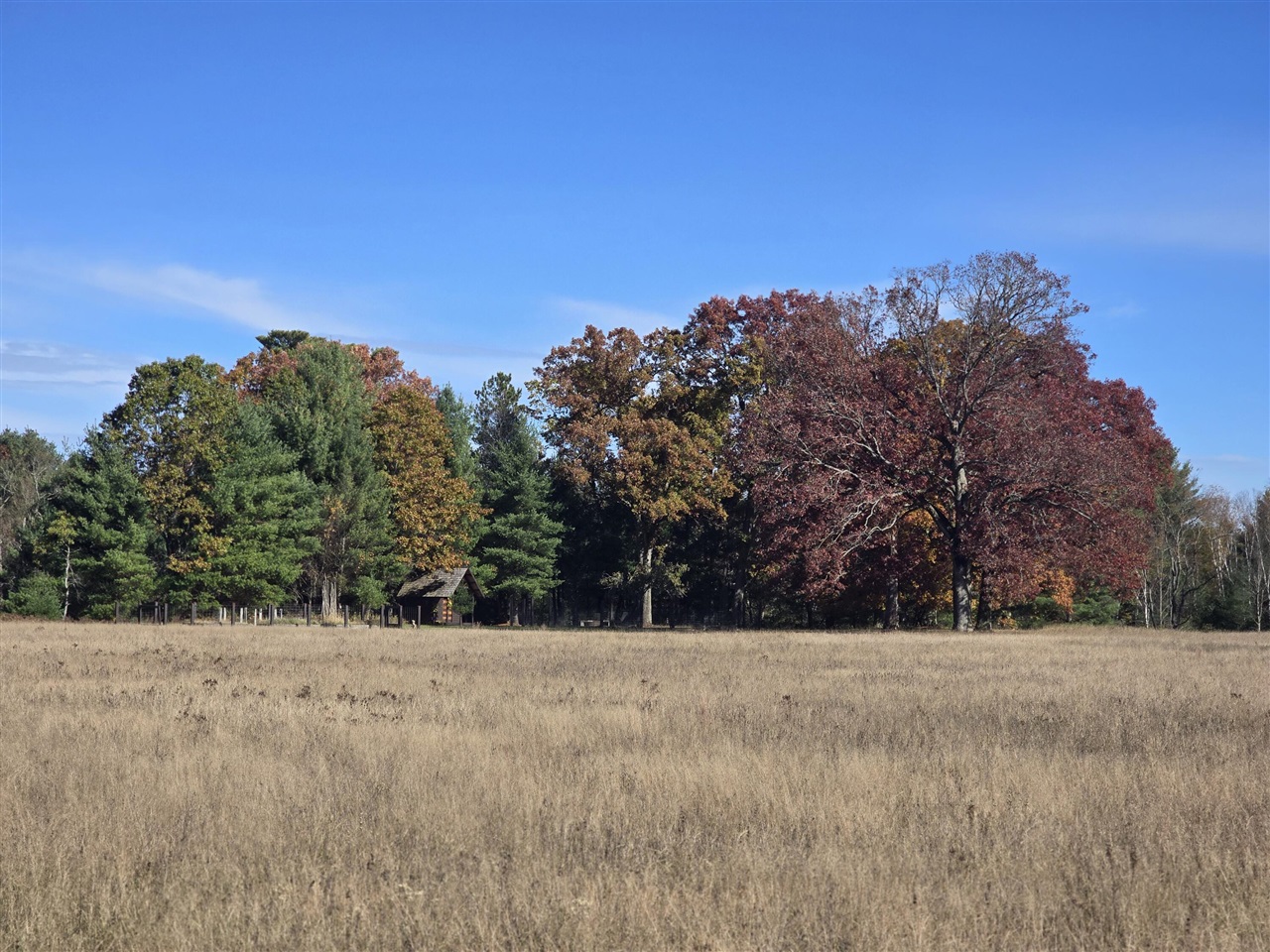 10652 N River Road, Irons, MI, 49644