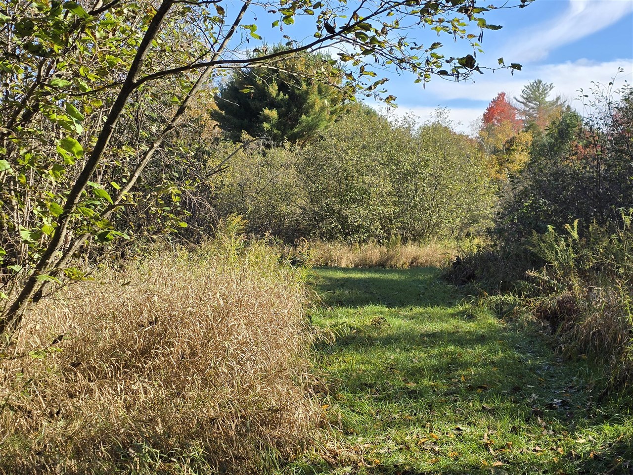 10652 N River Road, Irons, MI, 49644