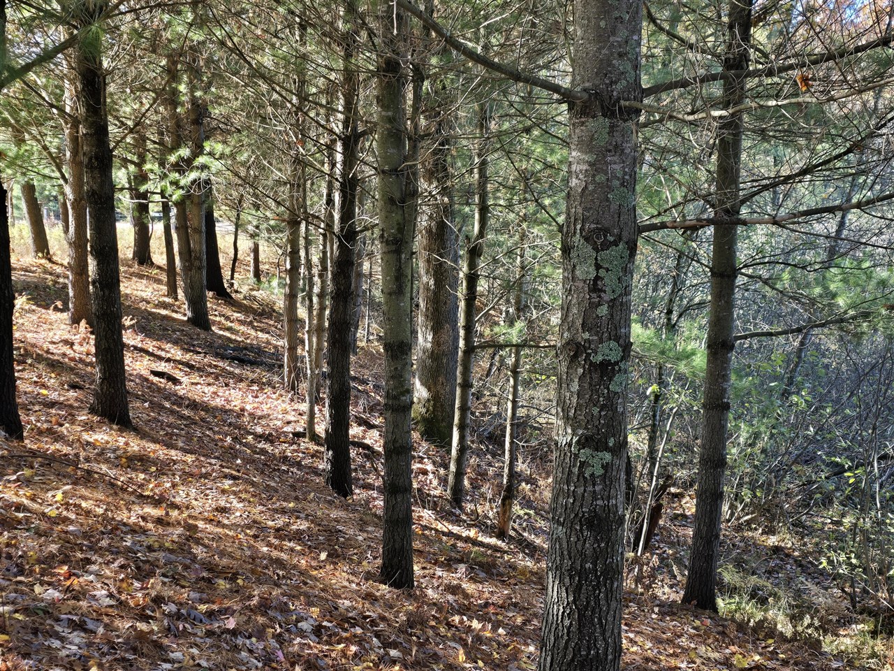 10652 N River Road, Irons, MI, 49644