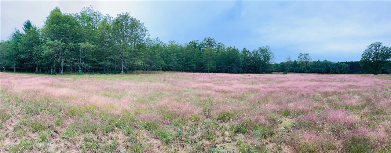 10652 N River Road, Irons, MI, 49644