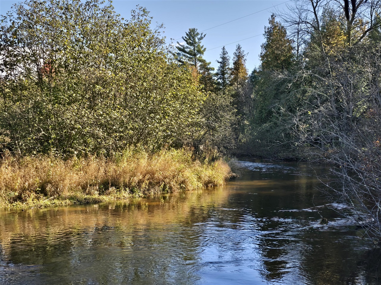 10652 N River Road, Irons, MI, 49644