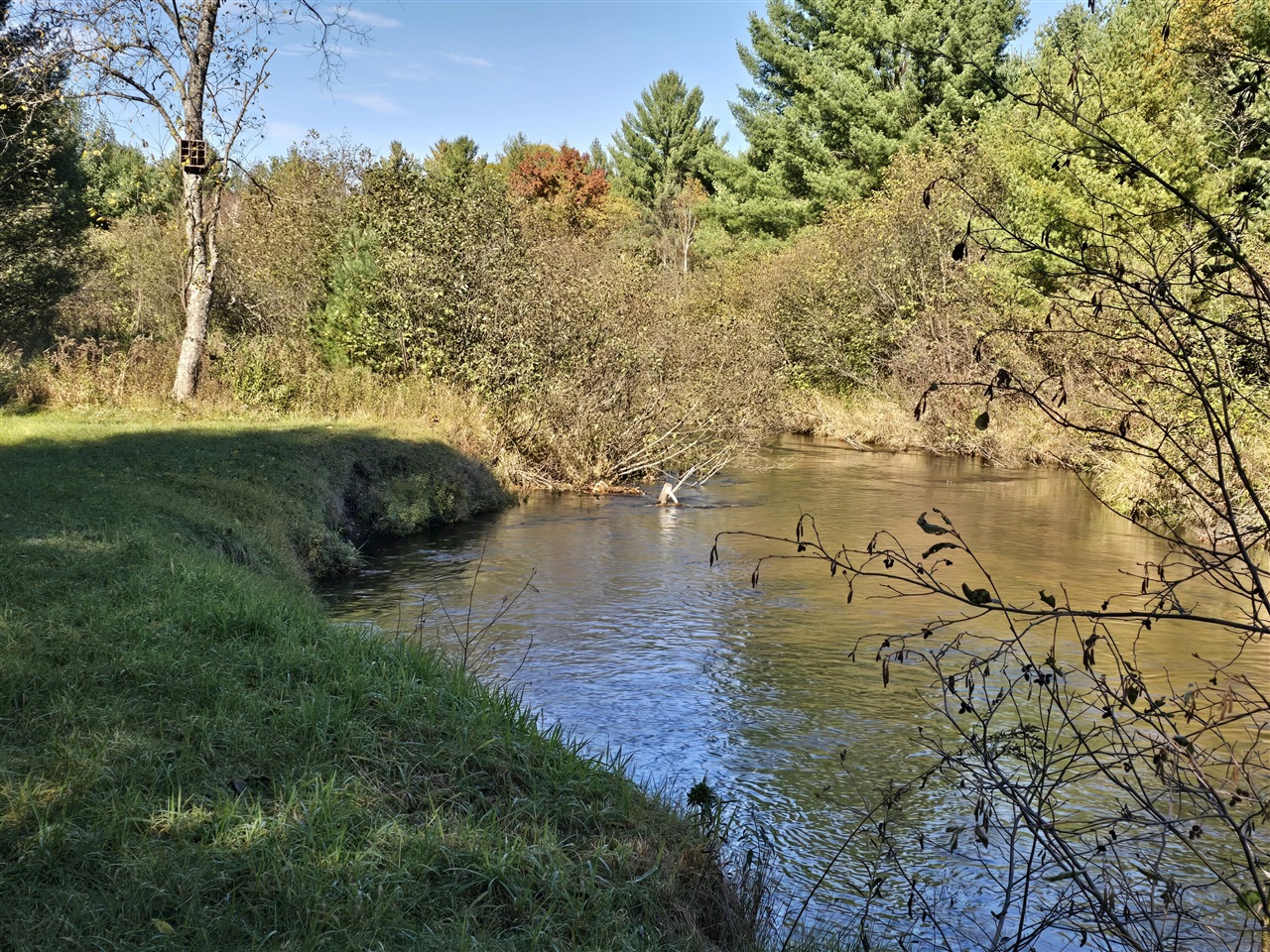 10652 N River Road, Irons, MI, 49644