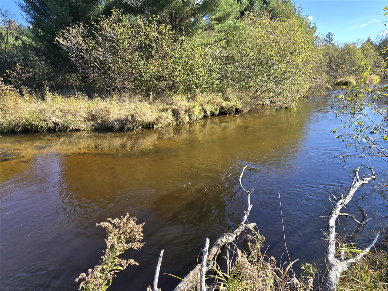 10652 N River Road, Irons, MI, 49644