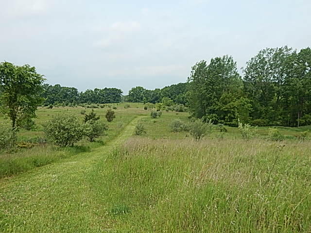 Homes for sale in Stockbridge, MI | 2855 Oakley Rd, Stockbridge, MI 49285 | MLS# 70509940