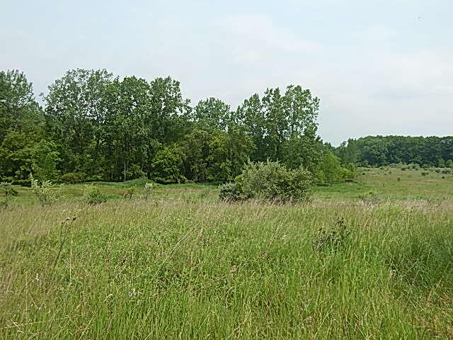 Homes for sale in Stockbridge, MI | 2855 Oakley Rd, Stockbridge, MI 49285 | MLS# 70509940