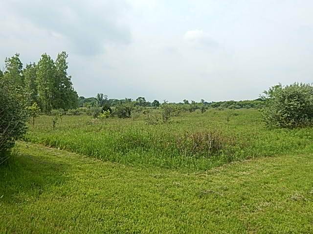 Homes for sale in Stockbridge, MI | 2855 Oakley Rd, Stockbridge, MI 49285 | MLS# 70509940