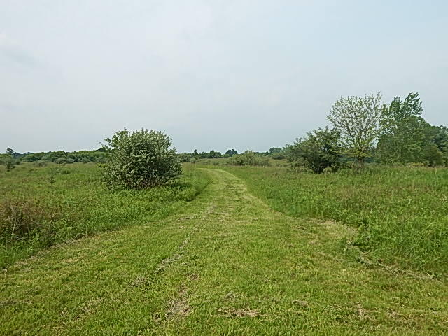 Homes for sale in Stockbridge, MI | 2855 Oakley Rd, Stockbridge, MI 49285 | MLS# 70509940